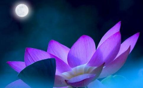 蚌蛤里现观音像 众人念佛忏悔罪业