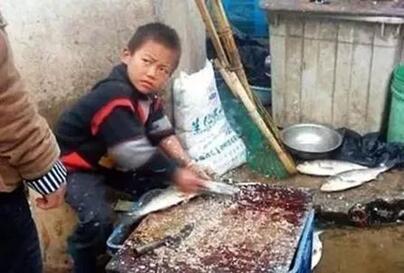 从网红”杀鱼弟”的人生悲哀，反思父母的责任-图片1
