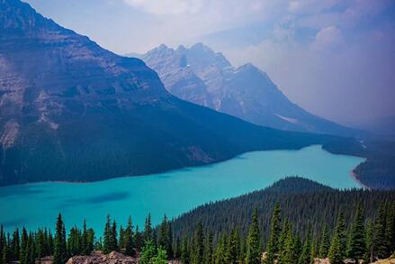 从网红”杀鱼弟”的人生悲哀，反思父母的责任-图片4