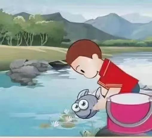 忽略了这些细节，也许放生会变成杀生-图片1