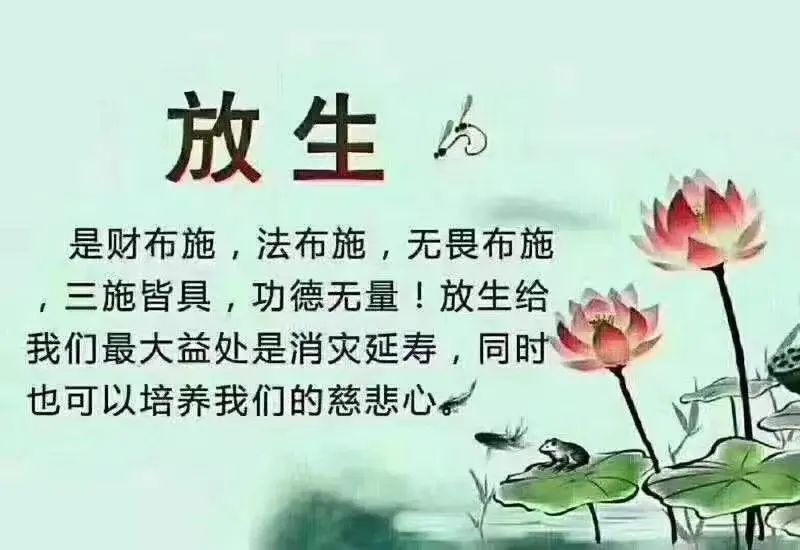忽略了这些细节，也许放生会变成杀生-图片2