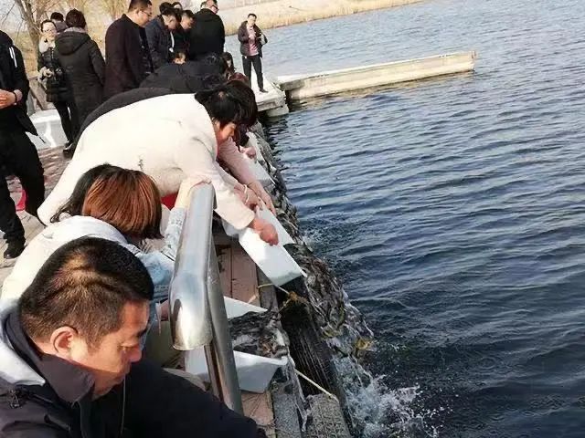 忽略了这些细节，也许放生会变成杀生-图片3