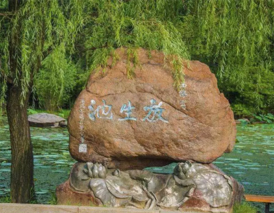 古代经典放生故事四则(二)-图片3
