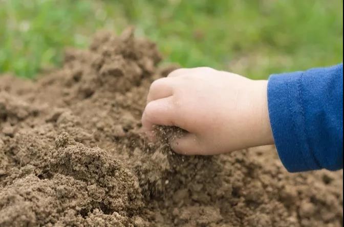 脾胃不好，多与土地接触-图片1