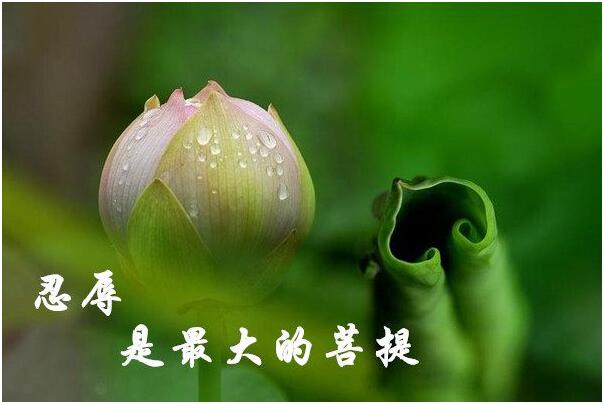 对境来时,忍辱便是修行-图片1