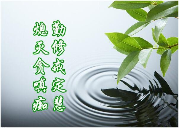 对境来时,忍辱便是修行-图片2