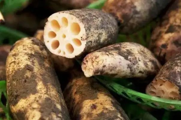 肺不好，经常吃点养肺菜，多喝2种水，对你肺有好处！-图片3