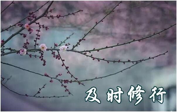 对境来时,忍辱便是修行-图片3