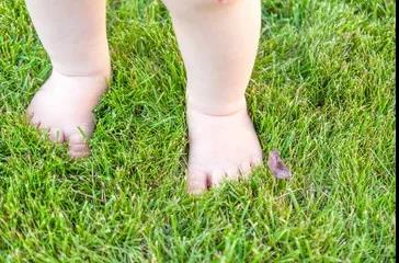 脾胃不好，多与土地接触-图片3