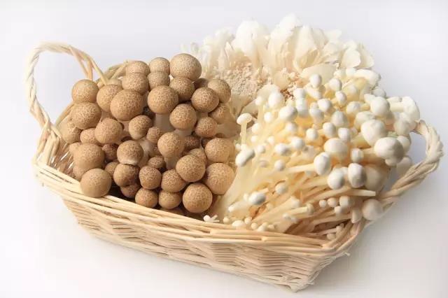 它是“人体脑黄金”，增强记忆力，不吃太可惜！-图片3