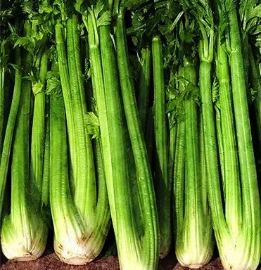 养生|这里有几款刮油的食物，能帮助你排出身体余毒哦~-图片1