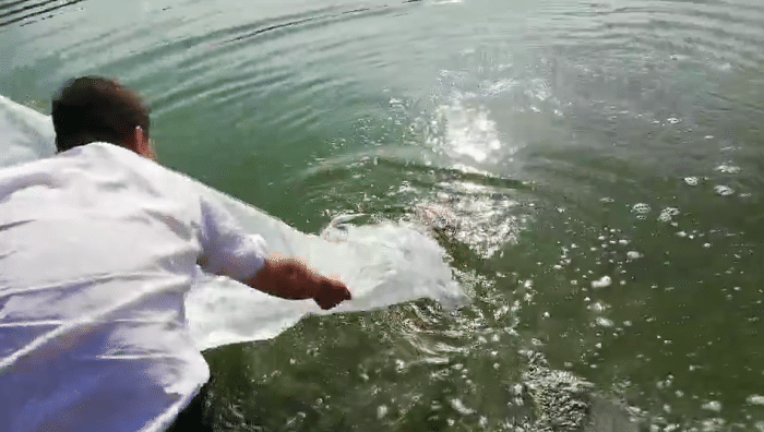 四种省时省力高效率的放生方法，你常用哪种？-图片11