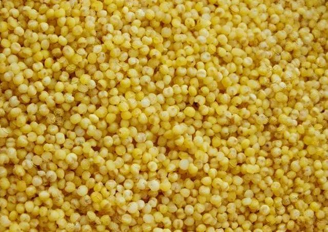 养生|这里有几款刮油的食物，能帮助你排出身体余毒哦~-图片2