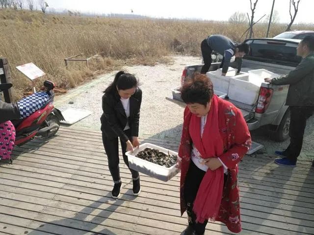 四种省时省力高效率的放生方法，你常用哪种？-图片2