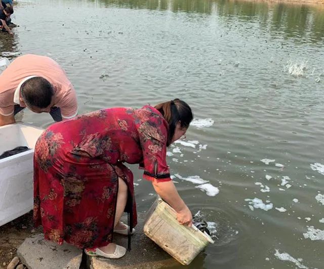 四种省时省力高效率的放生方法，你常用哪种？-图片3