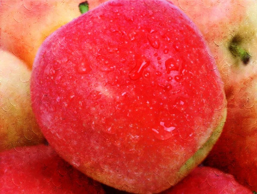 养生|这里有几款刮油的食物，能帮助你排出身体余毒哦~-图片6