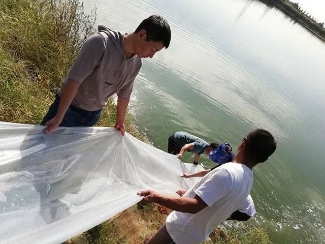 四种省时省力高效率的放生方法，你常用哪种？-图片5