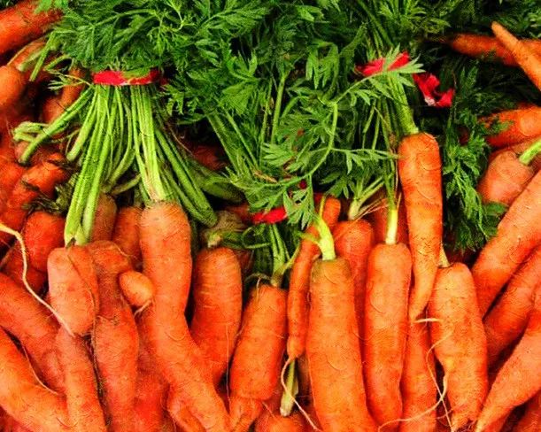 养生|这里有几款刮油的食物，能帮助你排出身体余毒哦~-图片10