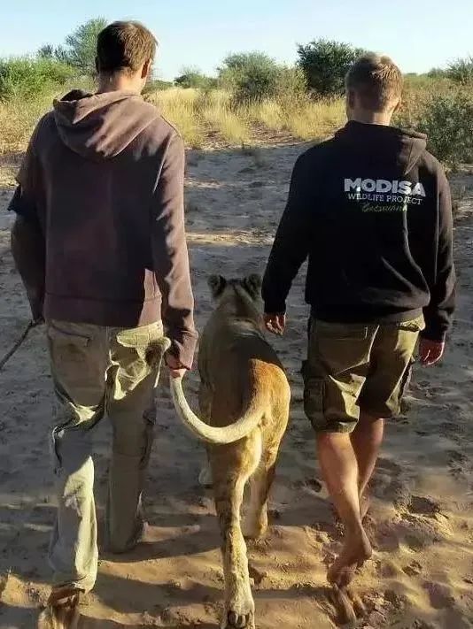 人与动物的情感，也可以情深至极-图片3