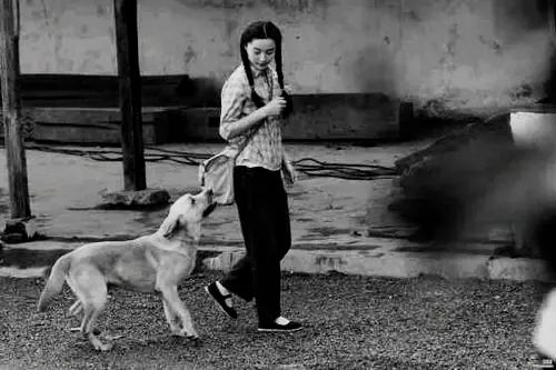 真实故事:她曾救狗一命,危难时忠犬舍命救她-图片2