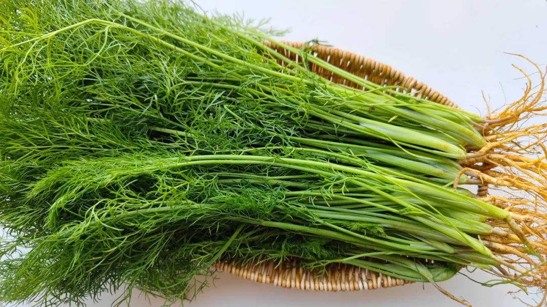 “湿气”最怕这种菜，秋天隔三岔五吃一次！祛湿理气，煎一煎，辛香味美-图片1