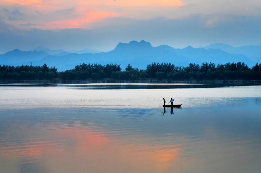 感悟】放生很重要，护生也同样重要