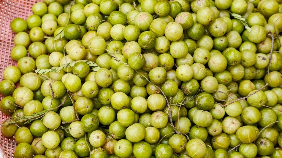 藏在身边的“止咳猛将”，不是雪梨而是它！隔天喝1次，利肺止咳，嗓子不干痒了-图片1