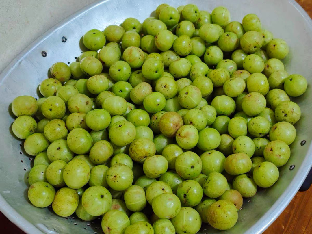 藏在身边的“止咳猛将”，不是雪梨而是它！隔天喝1次，利肺止咳，嗓子不干痒了-图片4