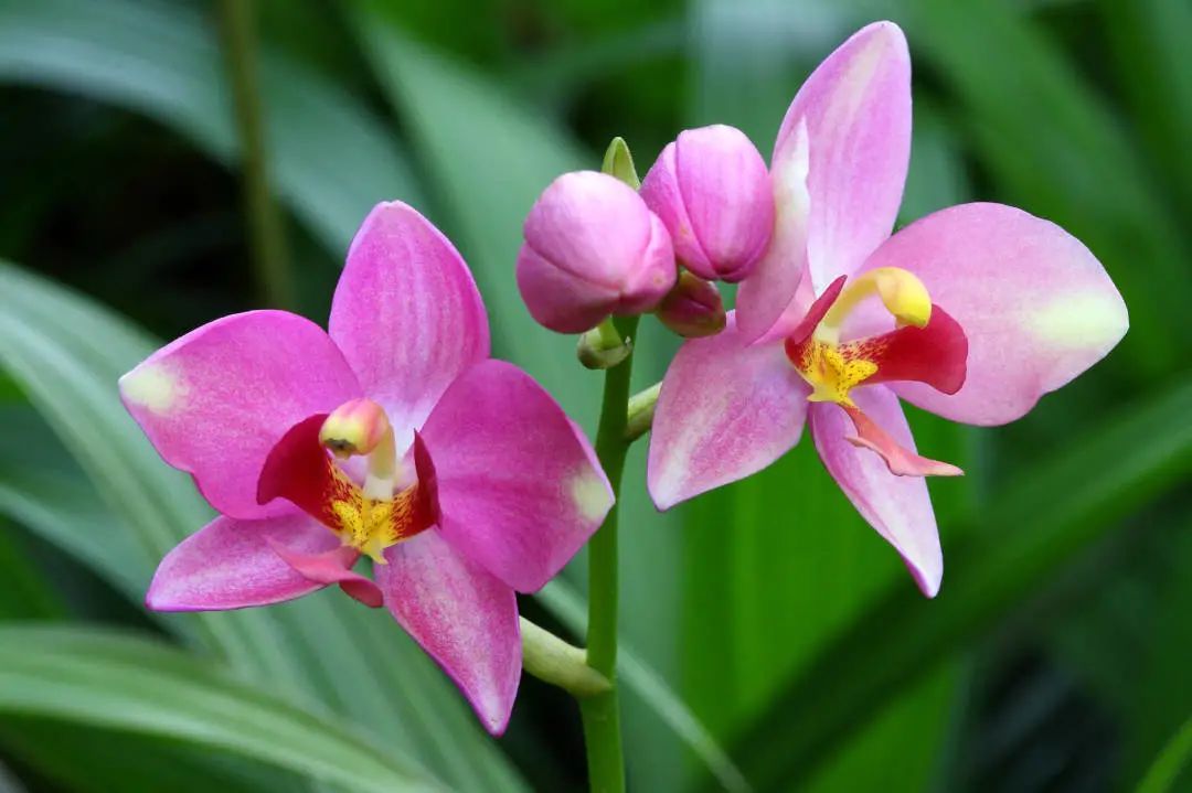 当重新点开微信语音时，异常紧张，这才发现自己修行这么差！