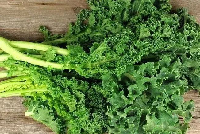 舌尖素食 | 纯素食者最容易缺乏的8种营养素-图片4