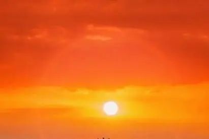 舌尖素食 | 纯素食者最容易缺乏的8种营养素-图片8