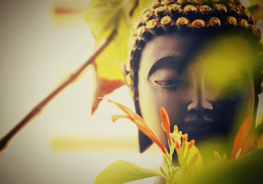 须赖尊者真修做典范，一股清泉入心间