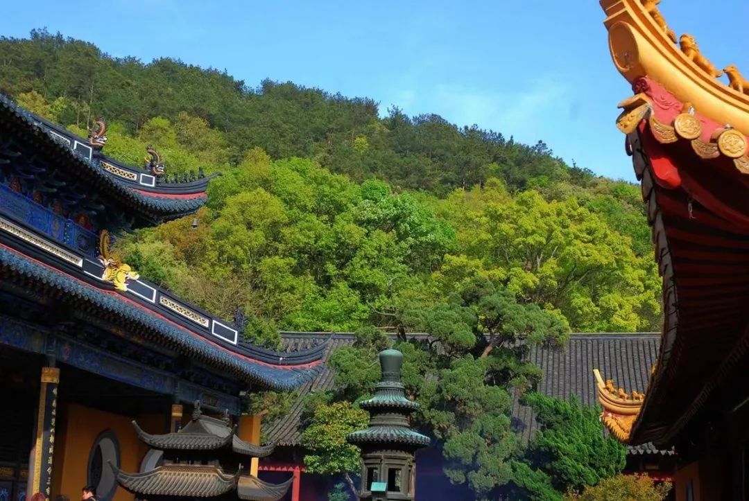 我苦口婆心的劝请这对老夫妻，赶快离开…