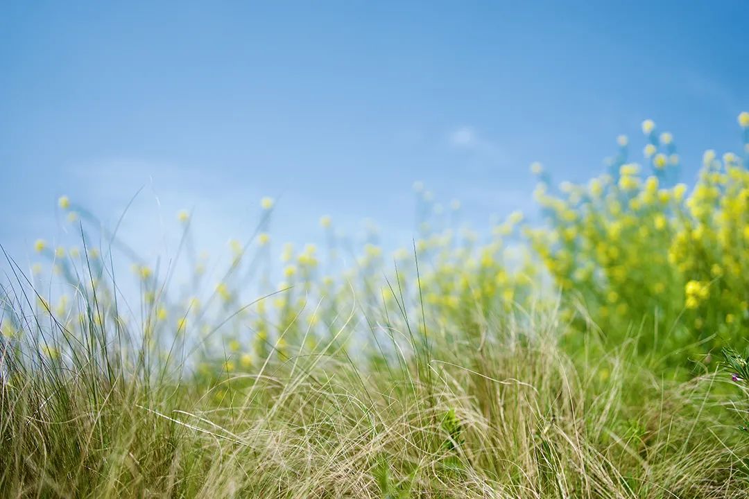 她在“朋友圈”里说我,引发了我要说的话
