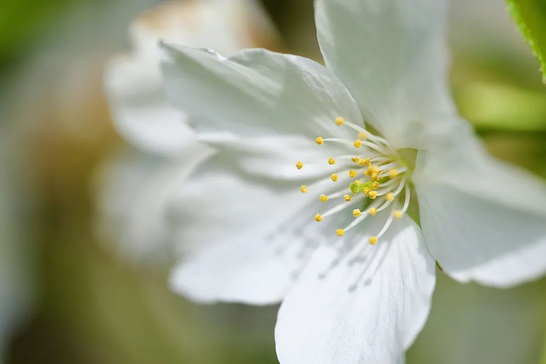 高考后的那个夏天，我差点错过大学录取通知书