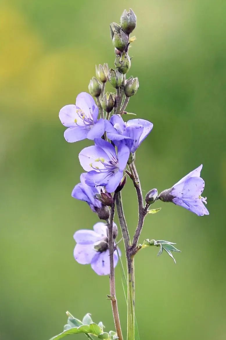 你知道如何摆脱生活的烦恼痛苦吗？这样做会有效！
