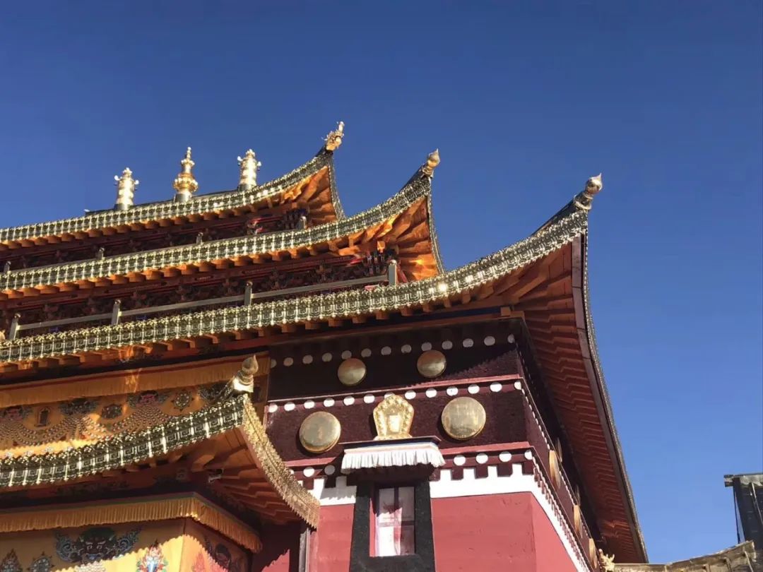 同样的挚诚不同的路，我庆幸自己选对了路