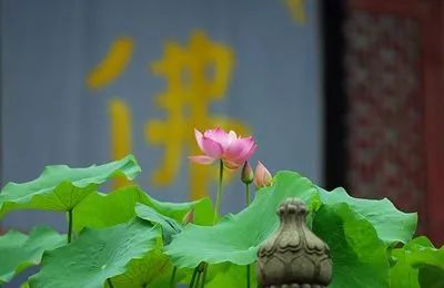 “临时抱佛脚”有用吗？