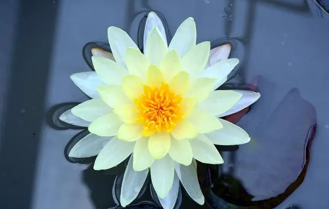 学佛的你 明信因果吗？