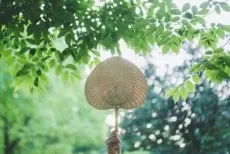 愿为别人打伞的人，才会收获爱和幸福
