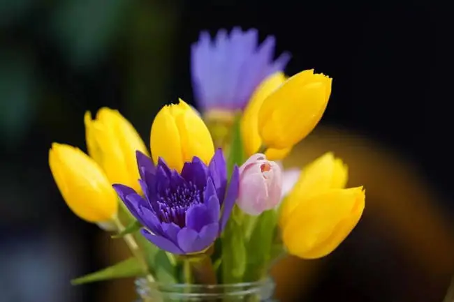 在万分惊恐中度过了险情，感恩佛陀加持！-图片1