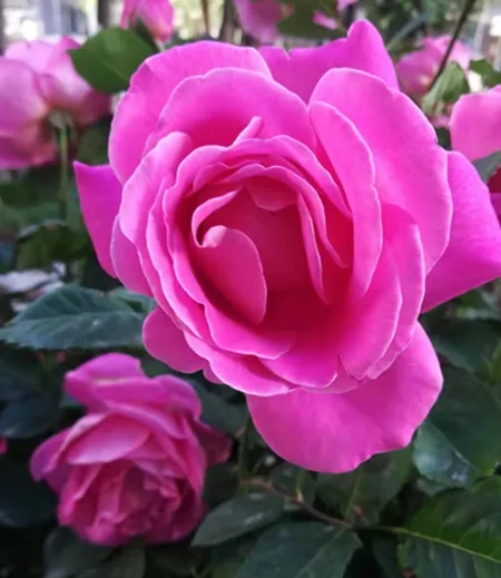 日日忙碌於世事中你忘记了什么？