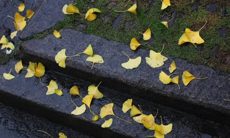 我与婆婆这对“天敌”终于转为善缘，我是用了这个方法