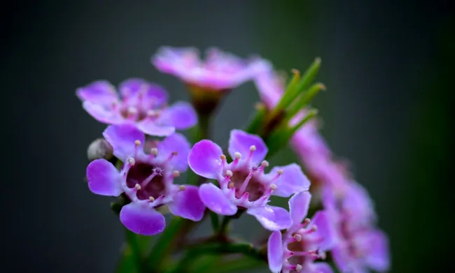 女人要学佛，不可做家里的“河东狮”，单位的“祥林嫂”