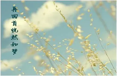 追忆往昔，恍然如梦