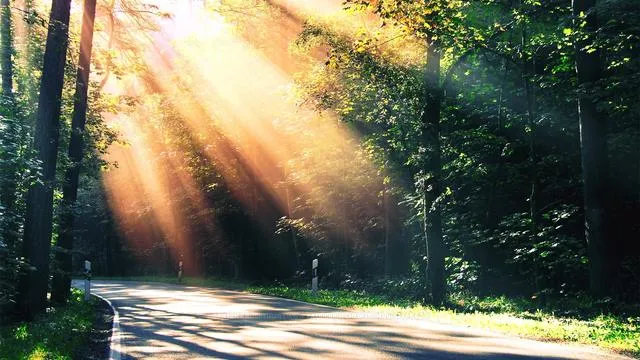 学佛后，我慢慢学会了把“宽恕”融入到日常生活中